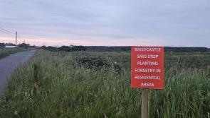 "It's like Chernobyl" - Mayo town opposed to forestry project