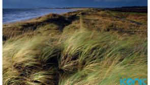 Human leg washed up on beach in Scotland believed to be linked to body found in Ireland 