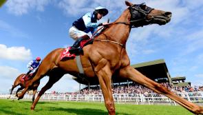 REVEALED: Dates for event-filled July at Mayo racecourse 