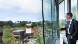 Expansion plans on agenda during Minister’s Mayo museum visit