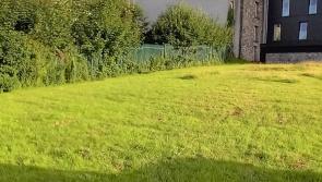 Anger at 'libelous' online comments on West Mayo land sale