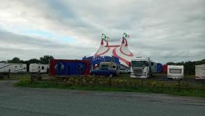 Mayo councillor calls on council to block circus accessing Castlebar site