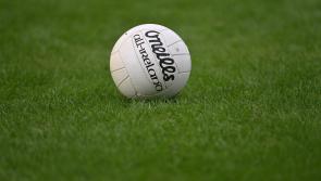 Classy Kilmaine unleash the hounds and win big on home soil