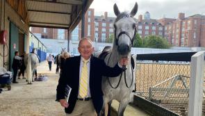 Johnno not surprised with Dawn's Surprise performance at Dublin Horse Show