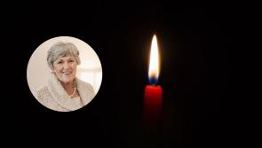 Funeral arrangements announced for woman who died in Mayo bee sting tragedy