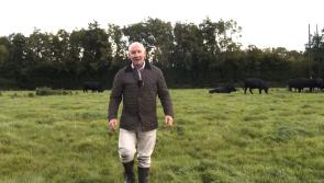 'Whose farm is that?' Jim Gavin's first campaign video causes stir on social media 