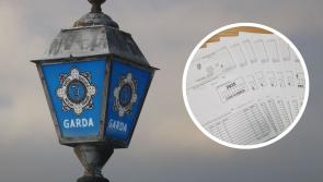  ‘Absolute clown’: Driver arrested in busy Irish town as Gardaí detect six serious crimes 