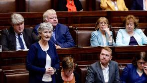 Who is Catherine Connolly? The left’s outspoken presidential candidate 
