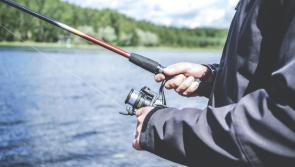 ‘Crisis levels’ - Irish shops could face fish shortages as fishermen warn of ‘collapse’