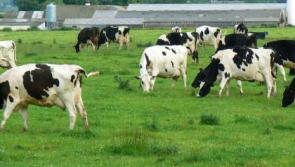 Mayo farmers encouraged to attend upcoming Mercosur protest 