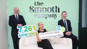 Small businesses in Mayo created 81 jobs in the last 12 months 
