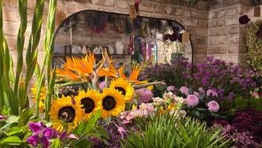 I Love you a Lily more each day! Five on trend and unique flowers to buy this Valentine's Day