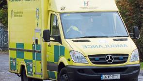 Grandparents and three-year-old grandchild killed in Tipperary collision