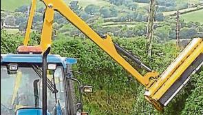 Mayo landowners reminded to cut back roadside hedges and trees