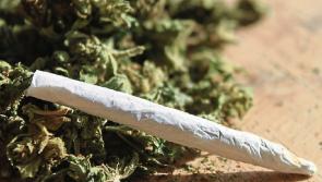 ‘Is weed wrecking your head?’ New anti-cannabis plan for Mayo