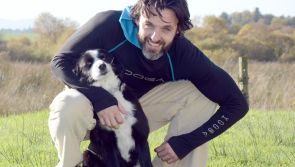 Halloween howls as dog goes disco dancing