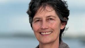 South Mayo voters feel ‘abandoned’ - Galway councillor