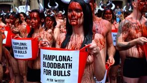 Seeing red over animal cruelty 
