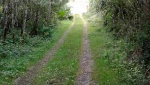 Severed heads, spooky forests and spectacular silhouettes