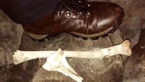 Bones found in newly discovered Nephin cave to be examined