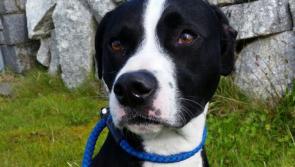 Meet April&rsquo;s of the Month: Keesha