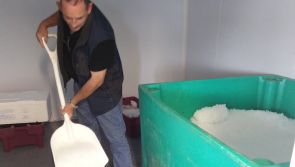 The beginning of the Purteen ice age 