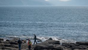 Search of Mullet shoreline to continue after R116 discovery