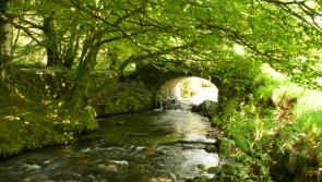 Can you step in the same stream twice?