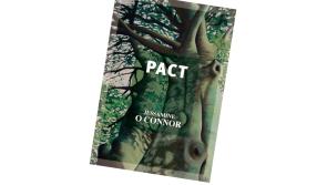 Ballaghaderreen poet releases new work