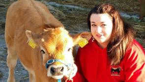 A Day in the Life: Catherina Cunnane