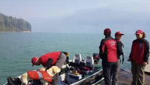 ‘Overwhelming relief’ at discovery of David Gavin’s body
