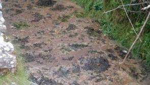 EPA criticise slow progress in upgrading Mayo treatment plant
