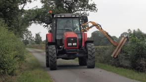 ‘Bird-brains’ blamed for seasonal hedge-cutting saga