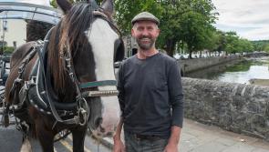 A Day in the Life: The Westport Jarvey, Kevin O'Reilly