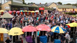 Ballinrobe ‘exonerated’ as flat racing set to continue