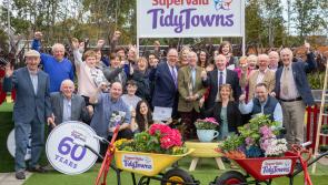 Community spirit secures two-in-row for Westport Tidy Towns