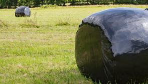 Ballyglass farmer died instantly after trailer fall