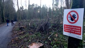 Ballina petition calls for new owners for Belleek Woods