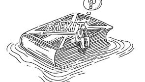 Brexit ‘chaos’ unnecessary