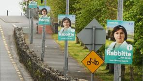Time to regulate election posters?