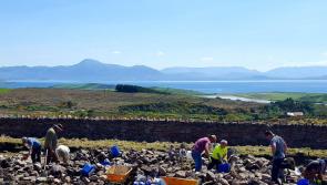Go stone mad in Mulranny