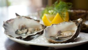 Murrisk is your oyster