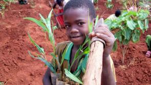 If Ethiopia can do it, why can’t we?