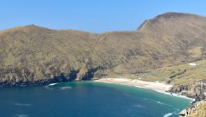 Two Mayo locations make list of top ten dog walks in Ireland