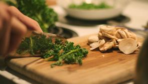 The age of abundance