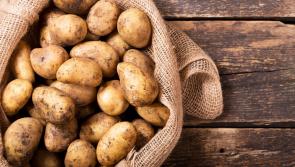 Cheap as chips, good as gold