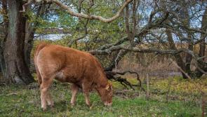Farming for nature to meet the crises