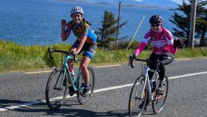 Westport gears up for the Westportif