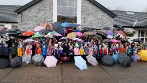Westport Gaelscoil faces closure