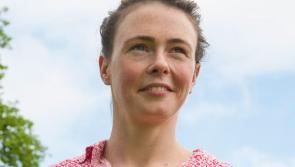 McHugh denies Green Party rift